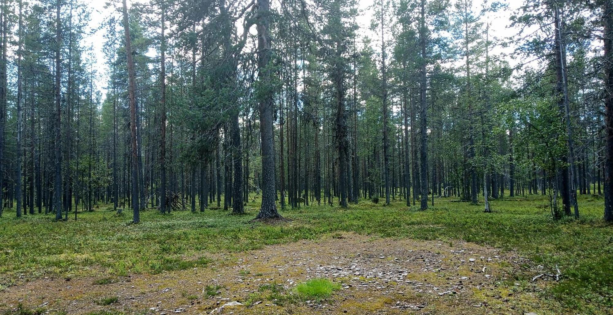 Kuukkeli Apartments Vuotso Eksteriør bilde
