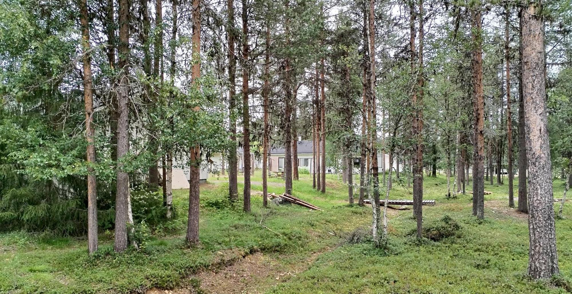Kuukkeli Apartments Vuotso Eksteriør bilde